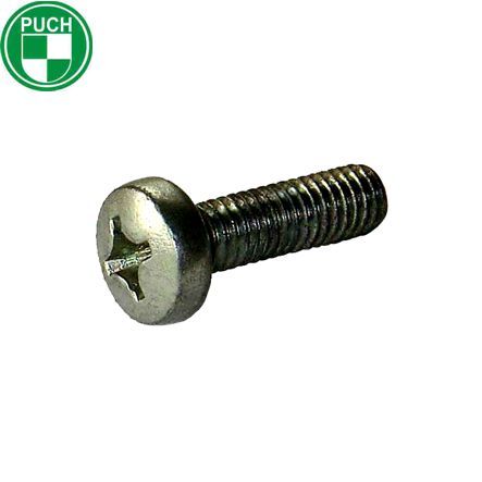 Linsenschrauben M4 x 10 mm DIN 7985 Puch Maxi